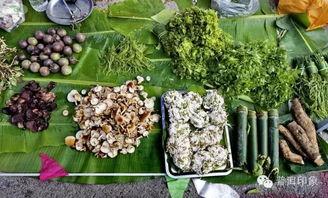 娱乐吃瓜酱云南的花,揭秘娱乐界的“瓜田”盛景