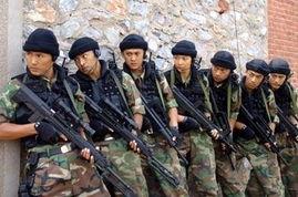 陆军特战队演员表,硬汉集结，战火炼真金